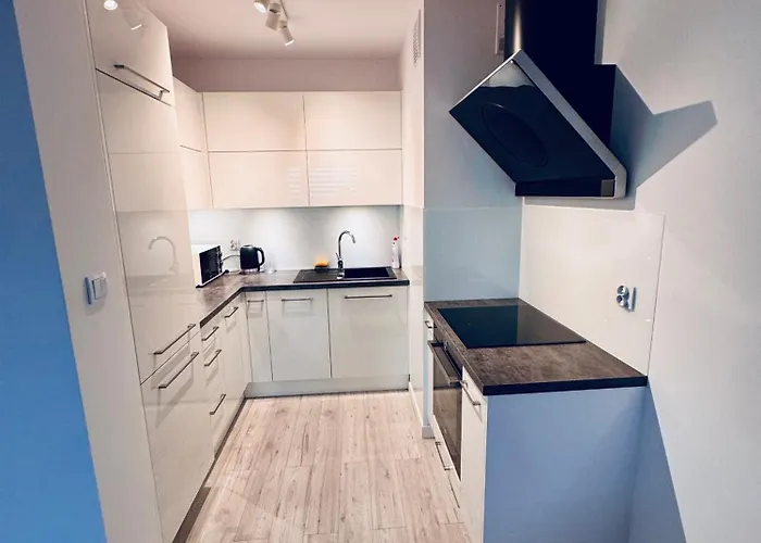 Apartament Przytulny Z Widokiem *